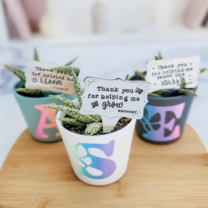 End of the Year Teacher Gift - Thank You for Helping Me Grow Plant Marker for Teacher Appreciation - Succulent Sticks for Teacher Gift