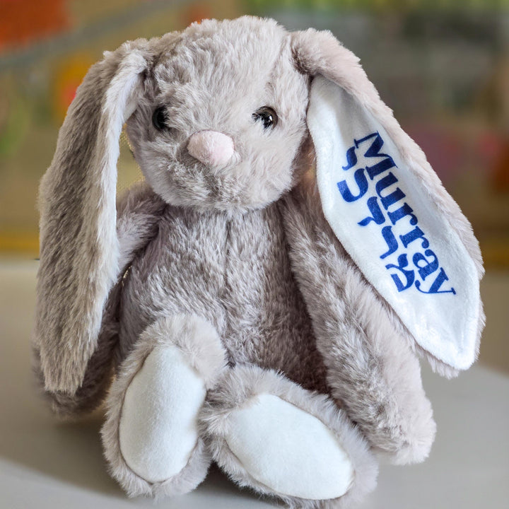 Custom Plush Bunny for Kids, Purim Basket Gift for Children, Personalized Jewish Name Bunny for Mishloach Manot, Hebrew and English Stuffy