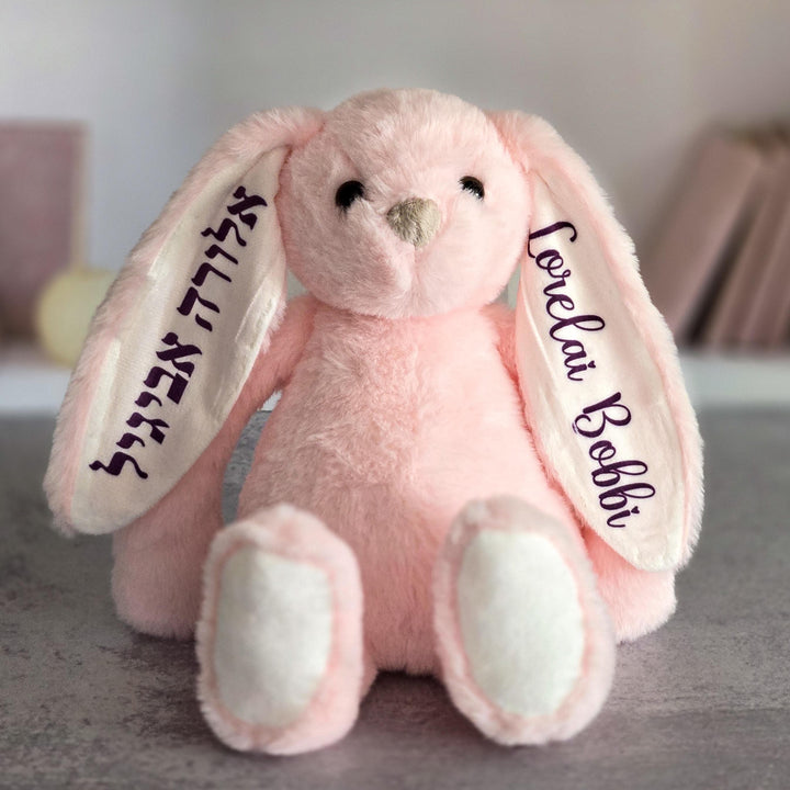 Personalized Am Yisrael Chai Plush Bunny Rabbit, Jewish Baby Naming Gift, Custom Plush Bunny for Kids, Hebrew and English Stuffy for Child Salt and Sparkle