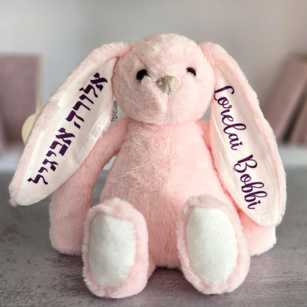 Jewish Baby Naming Gift, Custom Plush Bunny for Kids, Personalized Jewish Name Bunny for First Birthday, Hebrew and English Stuffy for Child