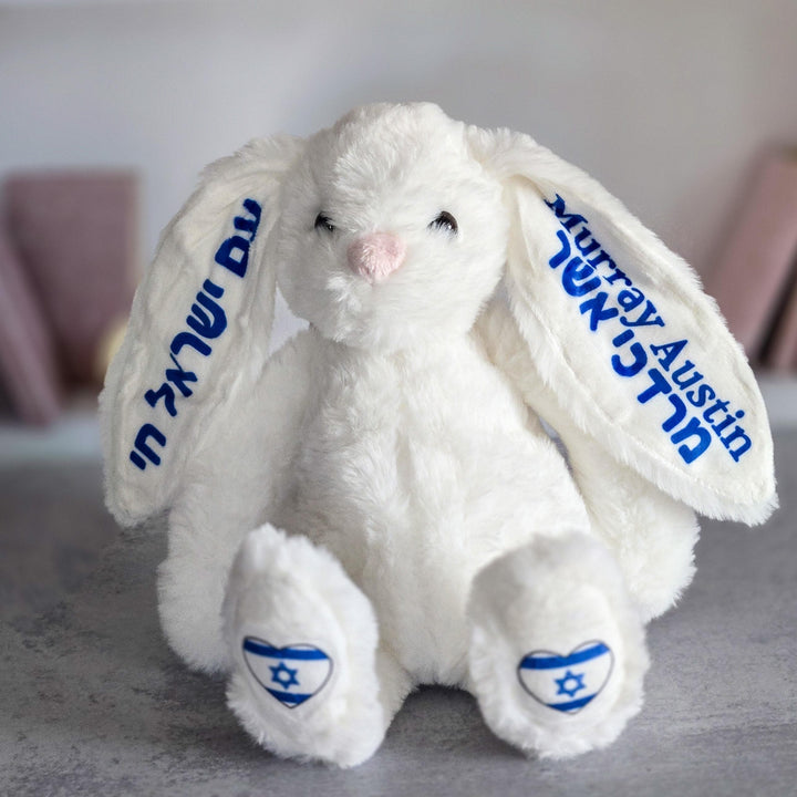 Personalized Am Yisrael Chai Plush Bunny Rabbit, Jewish Baby Naming Gift, Custom Plush Bunny for Kids, Hebrew and English Stuffy for Child Salt and Sparkle