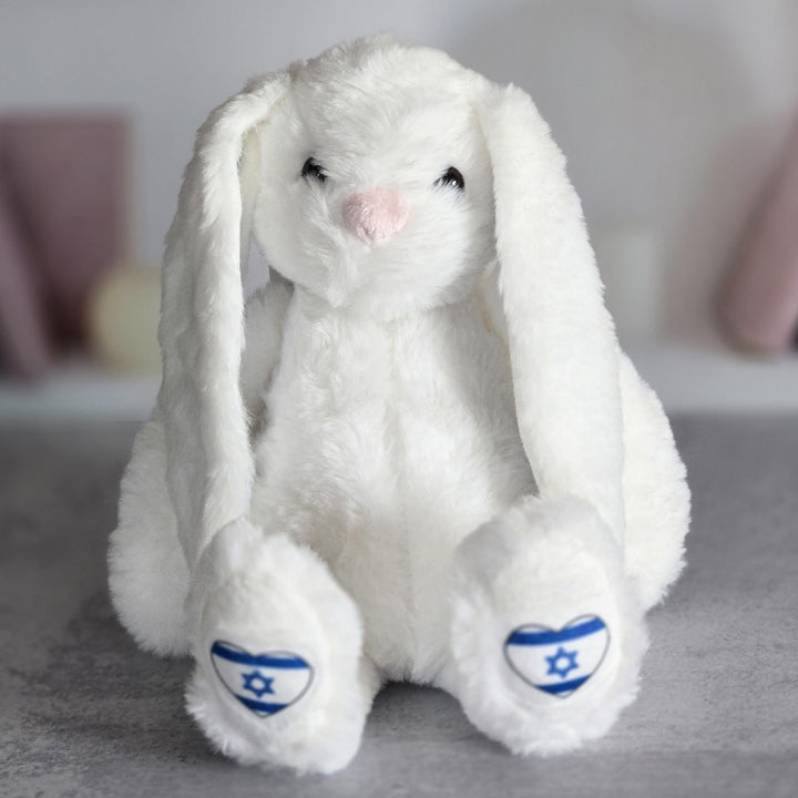 Personalized Am Yisrael Chai Plush Bunny Rabbit, Jewish Baby Naming Gift, Custom Plush Bunny for Kids, Hebrew and English Stuffy for Child Salt and Sparkle