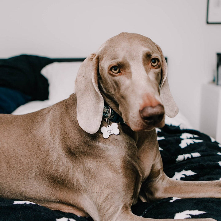Personalized HOMETOWN BITCH Pet ID Tag Salt and Sparkle