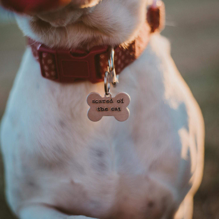 SCARED OF THE CAT Bone-Shaped Pet Tag Salt and Sparkle